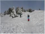 Kranjski Rak - Kapela Marije Snežne (Velika planina)